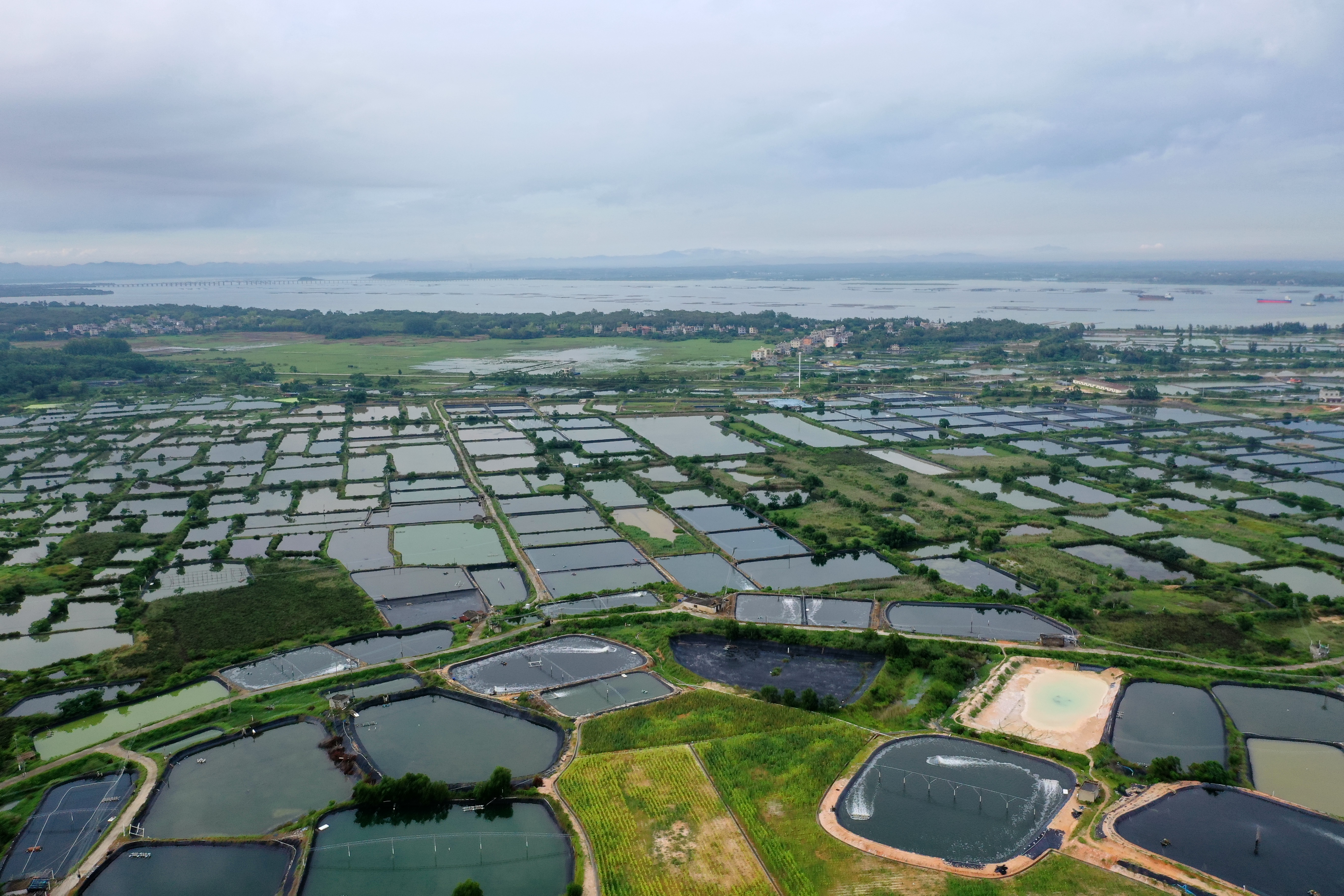 将“生态伤疤”变为惠民工程：我院服务北海市铁山港区历史遗留矿山生态修复项目